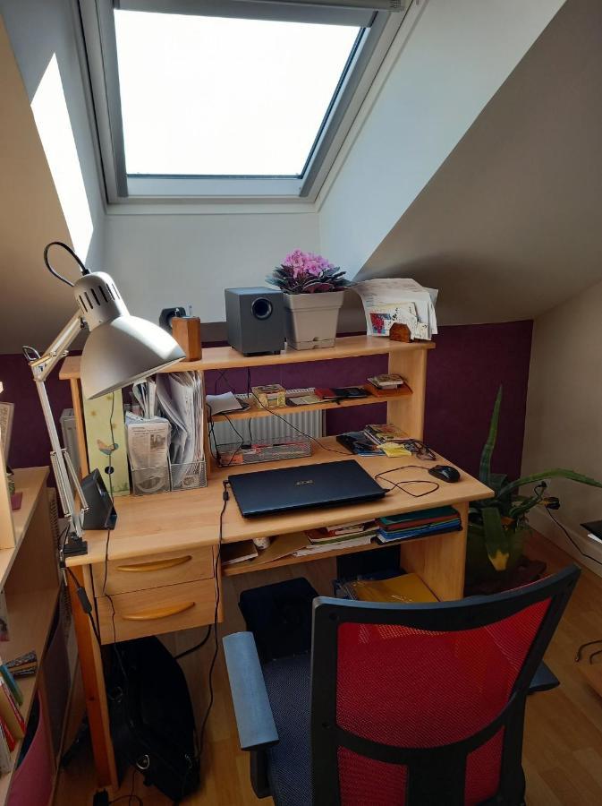 Ferienwohnung Chez Kiki Épinal Exterior foto